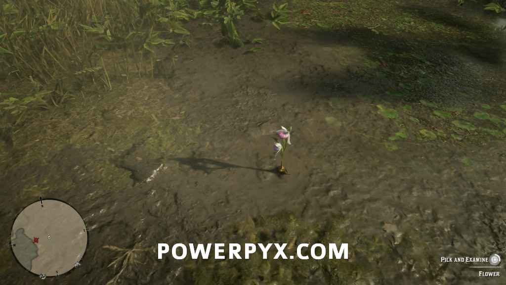 بازی Red Dead Redemption 2