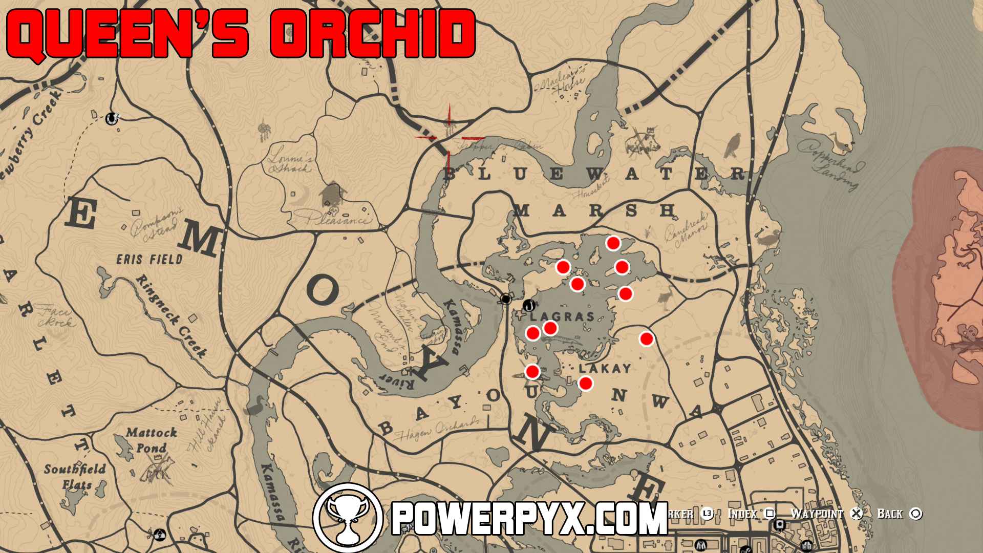 بازی Red Dead Redemption 2