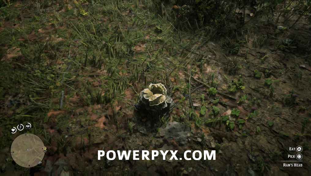 بازی Red Dead Redemption 2