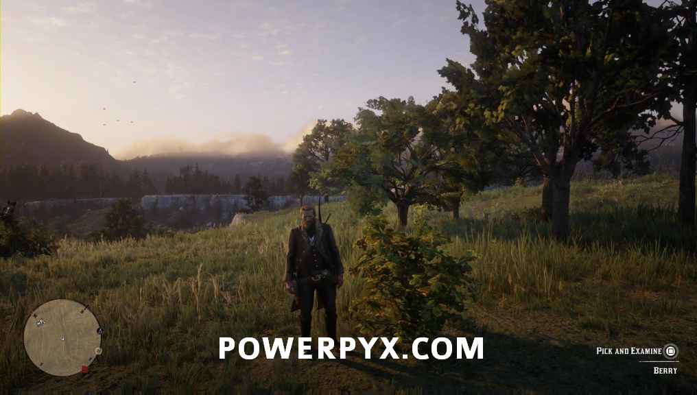 بازی Red Dead Redemption 2