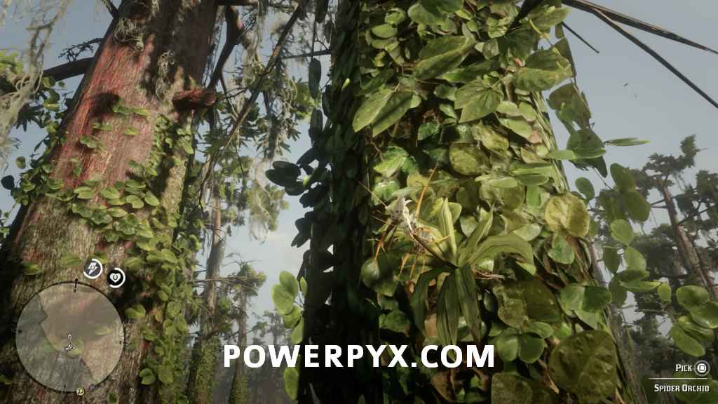 بازی Red Dead Redemption 2