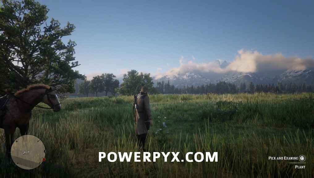 بازی Red Dead Redemption 2