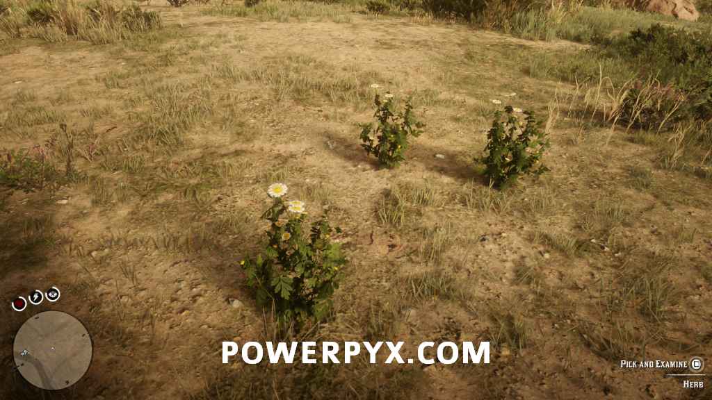 بازی Red Dead Redemption 2