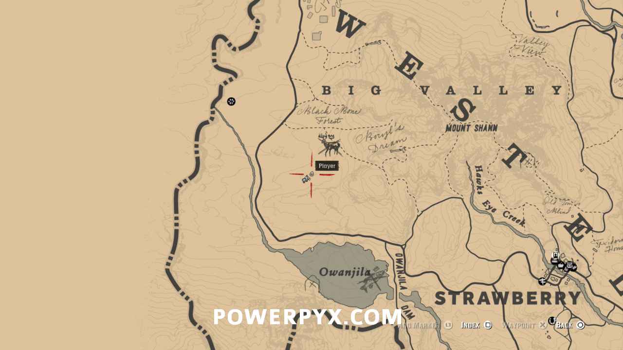 بازی Red Dead Redemption 2