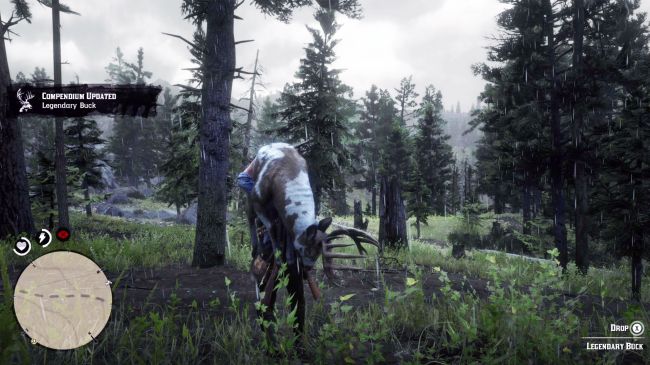 بازی Red Dead Redemption 2