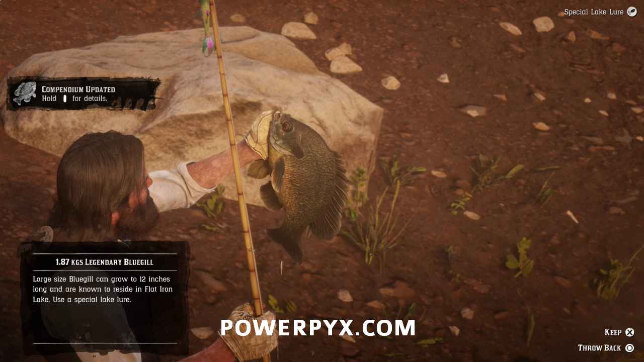 بازی Red Dead Redemption 2