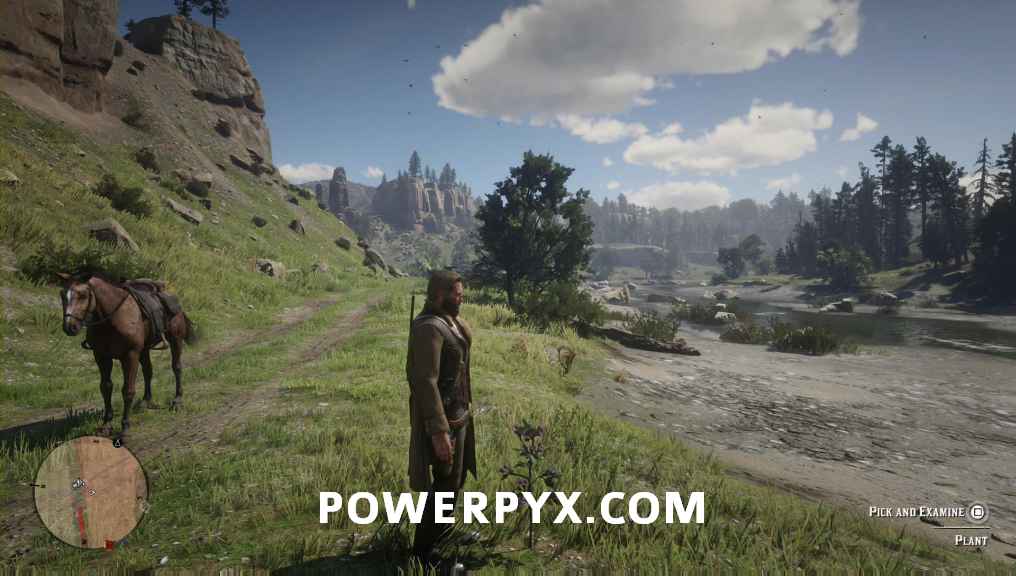 بازی Red Dead Redemption 2