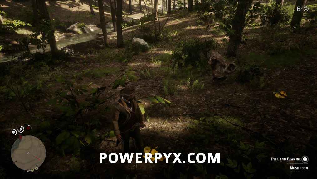 بازی Red Dead Redemption 2