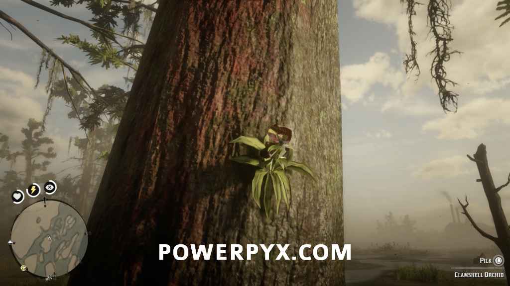 بازی Red Dead Redemption 2